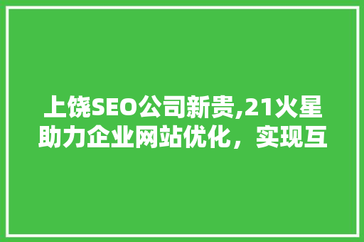 上饶SEO公司新贵,21火星助力企业网站优化，实现互联网营销新突破