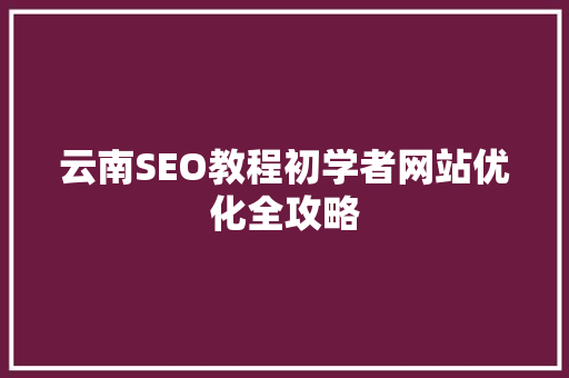云南SEO教程初学者网站优化全攻略