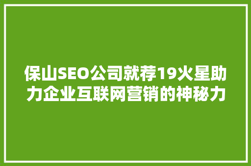 保山SEO公司就荐19火星助力企业互联网营销的神秘力量