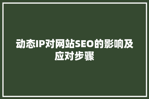 动态IP对网站SEO的影响及应对步骤