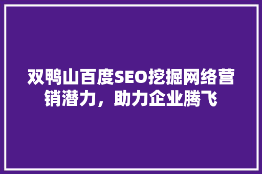 双鸭山百度SEO挖掘网络营销潜力，助力企业腾飞