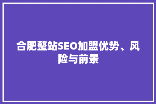 合肥整站SEO加盟优势、风险与前景