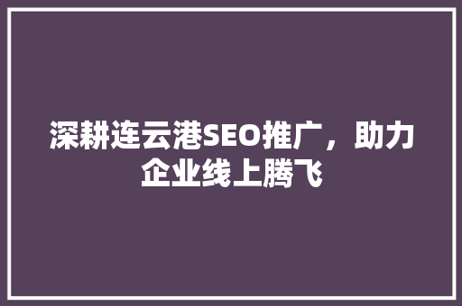 深耕连云港SEO推广，助力企业线上腾飞