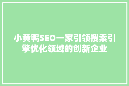小黄鸭SEO一家引领搜索引擎优化领域的创新企业