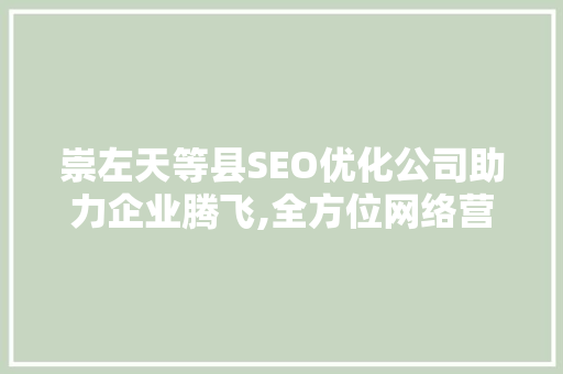 崇左天等县SEO优化公司助力企业腾飞,全方位网络营销新步骤
