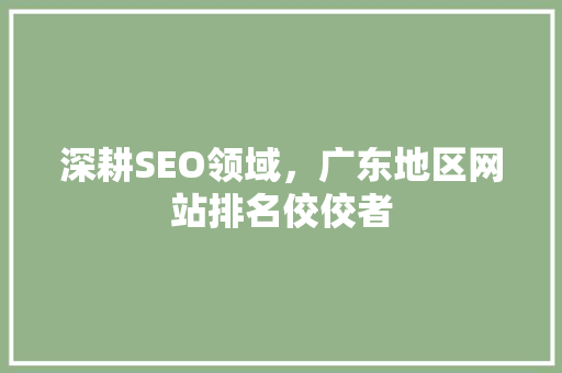 深耕SEO领域，广东地区网站排名佼佼者