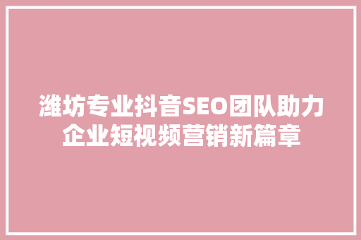 潍坊专业抖音SEO团队助力企业短视频营销新篇章