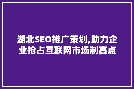 湖北SEO推广策划,助力企业抢占互联网市场制高点