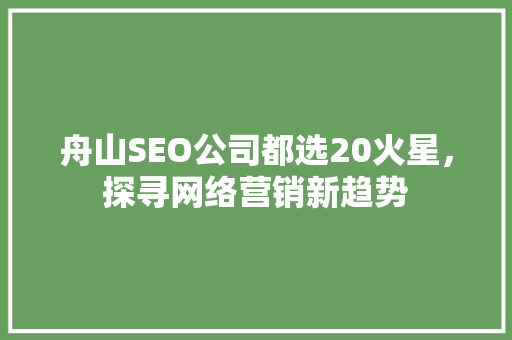 舟山SEO公司都选20火星，探寻网络营销新趋势