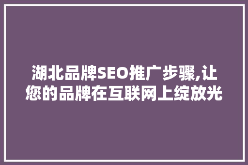 湖北品牌SEO推广步骤,让您的品牌在互联网上绽放光彩