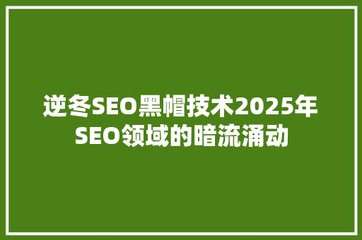 逆冬SEO黑帽技术2025年SEO领域的暗流涌动