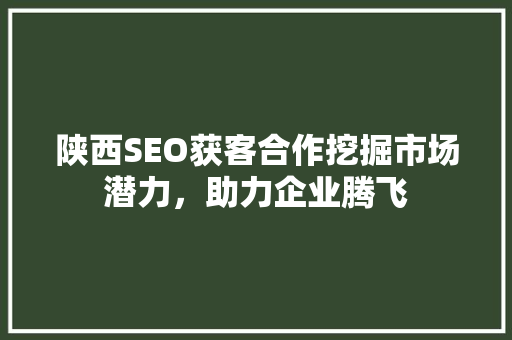陕西SEO获客合作挖掘市场潜力，助力企业腾飞