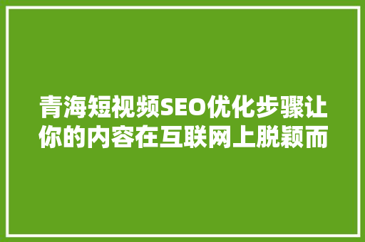 青海短视频SEO优化步骤让你的内容在互联网上脱颖而出
