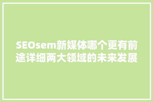SEOsem新媒体哪个更有前途详细两大领域的未来发展