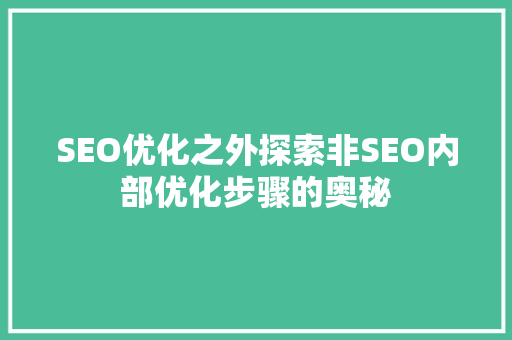 SEO优化之外探索非SEO内部优化步骤的奥秘