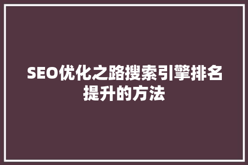 SEO优化之路搜索引擎排名提升的方法