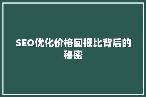 SEO优化价格回报比背后的秘密