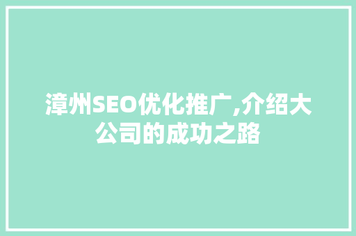 漳州SEO优化推广,介绍大公司的成功之路