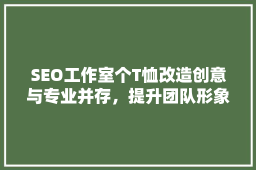 SEO工作室个T恤改造创意与专业并存，提升团队形象与凝聚力
