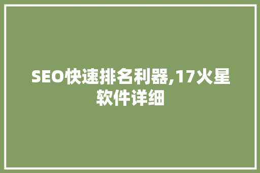 SEO快速排名利器,17火星软件详细