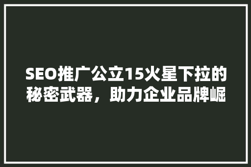 SEO推广公立15火星下拉的秘密武器，助力企业品牌崛起