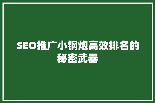 SEO推广小钢炮高效排名的秘密武器