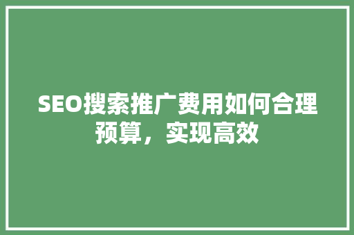 SEO搜索推广费用如何合理预算，实现高效