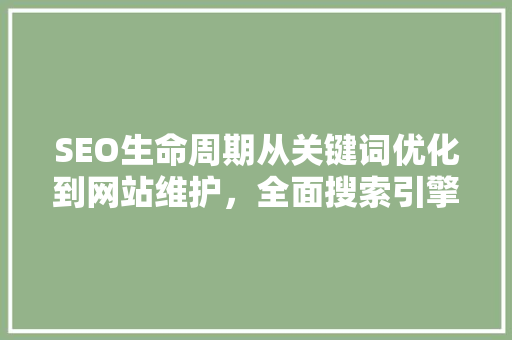 SEO生命周期从关键词优化到网站维护，全面搜索引擎优化之路