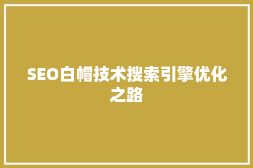 SEO白帽技术搜索引擎优化之路