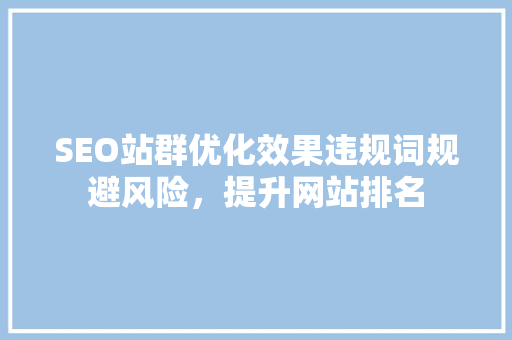 SEO站群优化效果违规词规避风险，提升网站排名