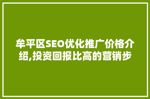 牟平区SEO优化推广价格介绍,投资回报比高的营销步骤