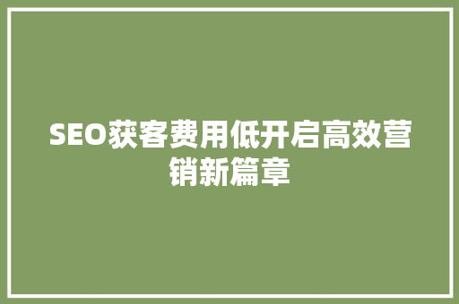 SEO获客费用低开启高效营销新篇章