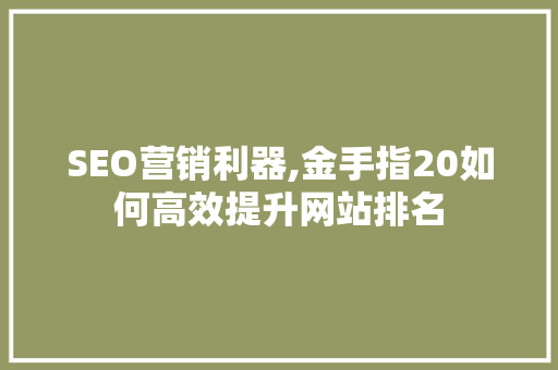 SEO营销利器,金手指20如何高效提升网站排名