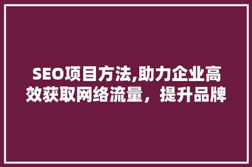 SEO项目方法,助力企业高效获取网络流量，提升品牌影响力