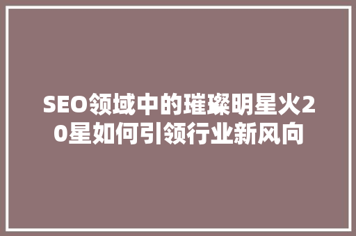 SEO领域中的璀璨明星火20星如何引领行业新风向