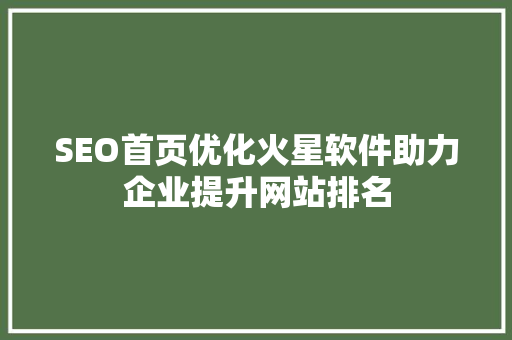 SEO首页优化火星软件助力企业提升网站排名