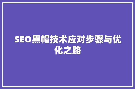 SEO黑帽技术应对步骤与优化之路