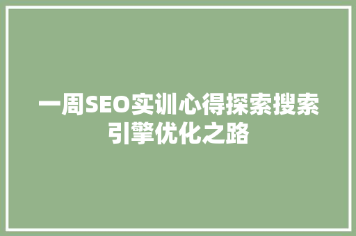 一周SEO实训心得探索搜索引擎优化之路