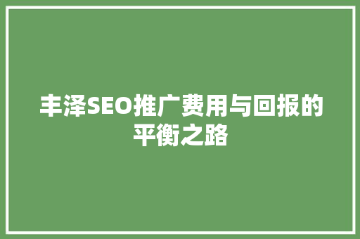 丰泽SEO推广费用与回报的平衡之路