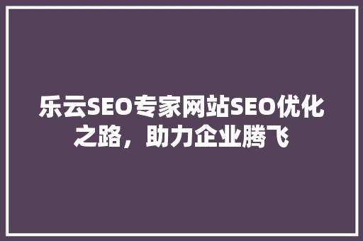 乐云SEO专家网站SEO优化之路，助力企业腾飞