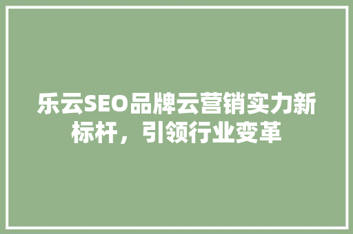 乐云SEO品牌云营销实力新标杆，引领行业变革