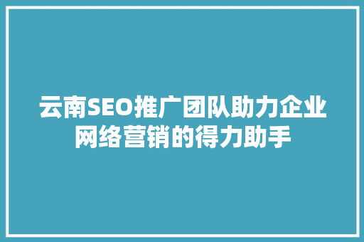 云南SEO推广团队助力企业网络营销的得力助手