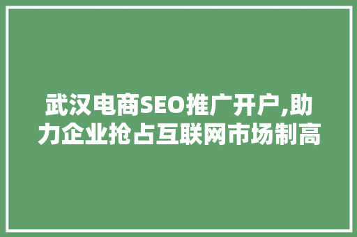 武汉电商SEO推广开户,助力企业抢占互联网市场制高点