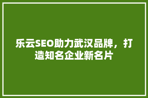 乐云SEO助力武汉品牌，打造知名企业新名片