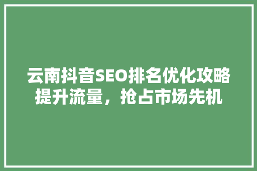 云南抖音SEO排名优化攻略提升流量，抢占市场先机