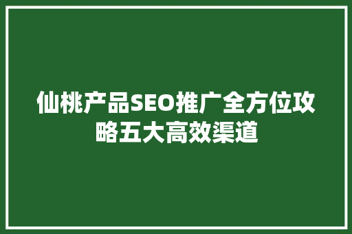 仙桃产品SEO推广全方位攻略五大高效渠道