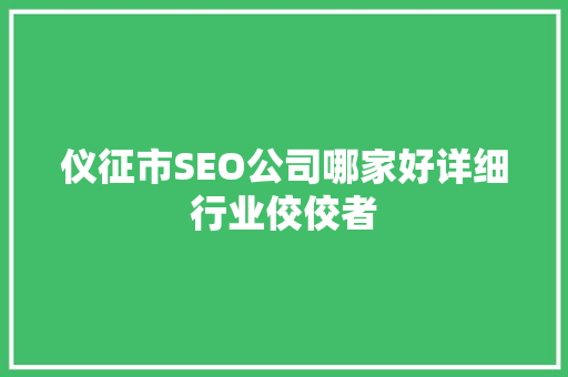 仪征市SEO公司哪家好详细行业佼佼者