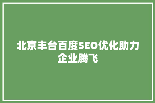 北京丰台百度SEO优化助力企业腾飞