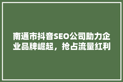 南通市抖音SEO公司助力企业品牌崛起，抢占流量红利