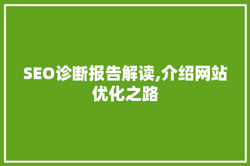 SEO诊断报告解读,介绍网站优化之路